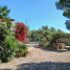 REF.-H035 «CASA BOMBERO» – CASITA EN FINCA RUSTICA EN L’ALMADRAVA (Hospitalet de L’Infant)