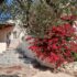 REF.-H035 «CASA BOMBERO» – CASITA EN FINCA RUSTICA EN L’ALMADRAVA (Hospitalet de L’Infant)